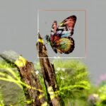 an artist s illustration of artificial intelligence ai this image depicts how ai could help understand ecosystems and identify species it was created by nidia dias as part of the visua