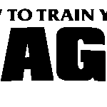 How to Train Your Dragon (Live-Action 2025): A New Era of Fantasy Adventure