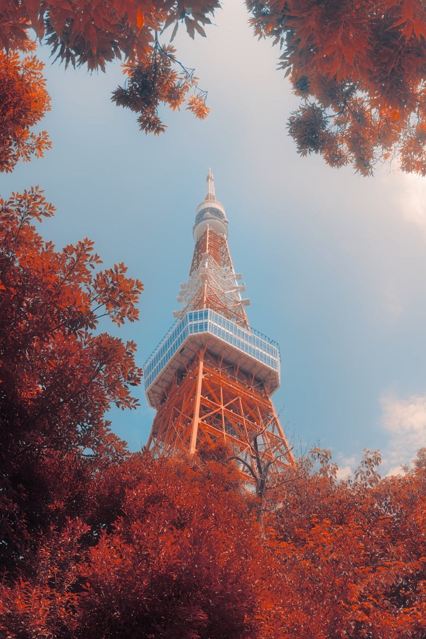 iconic tokyo tower framed by autumn foliage