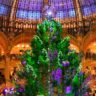 a large christmas tree in a dome with purple lights