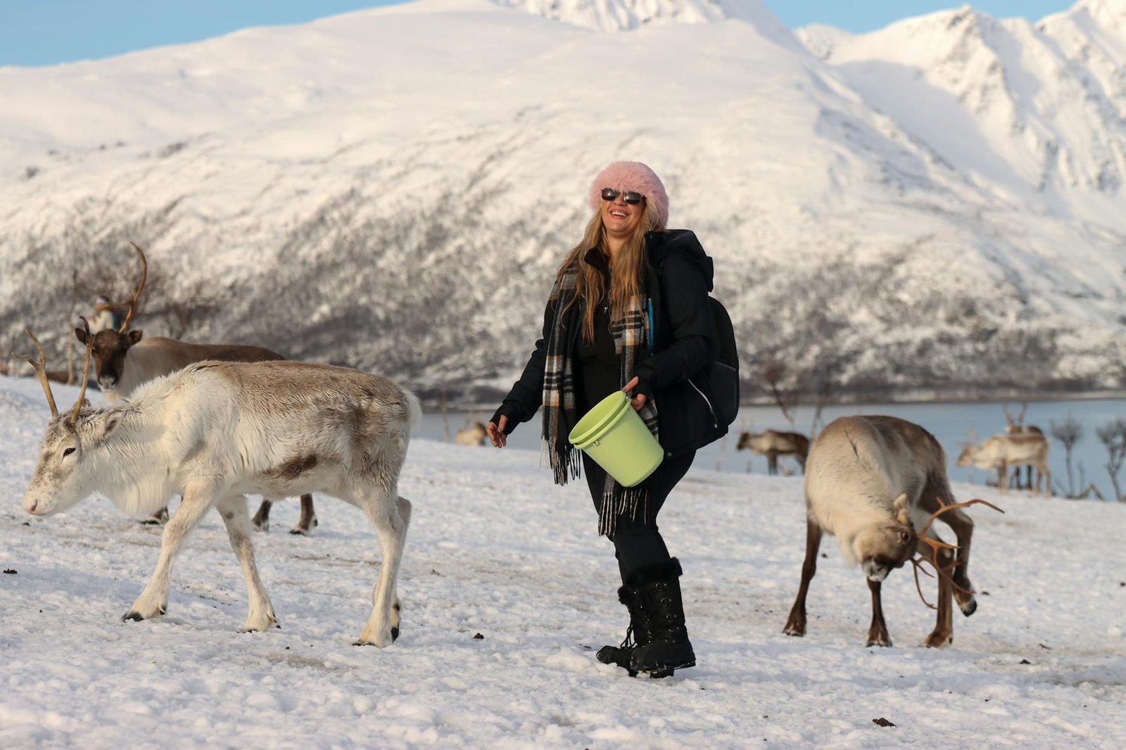woman with reindeer in snowy tromso landscape