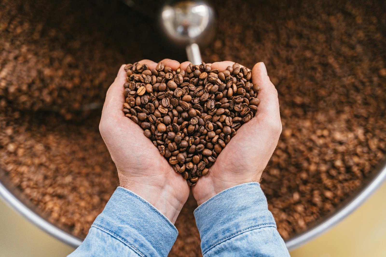coffee beans on person s hands