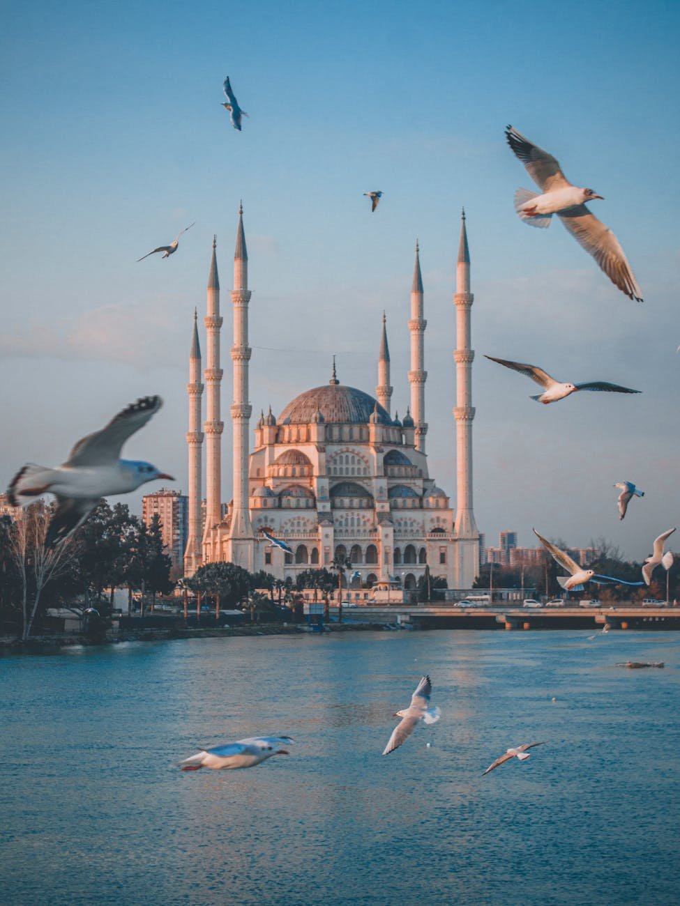 mosque with minarets and seagulls over the sea