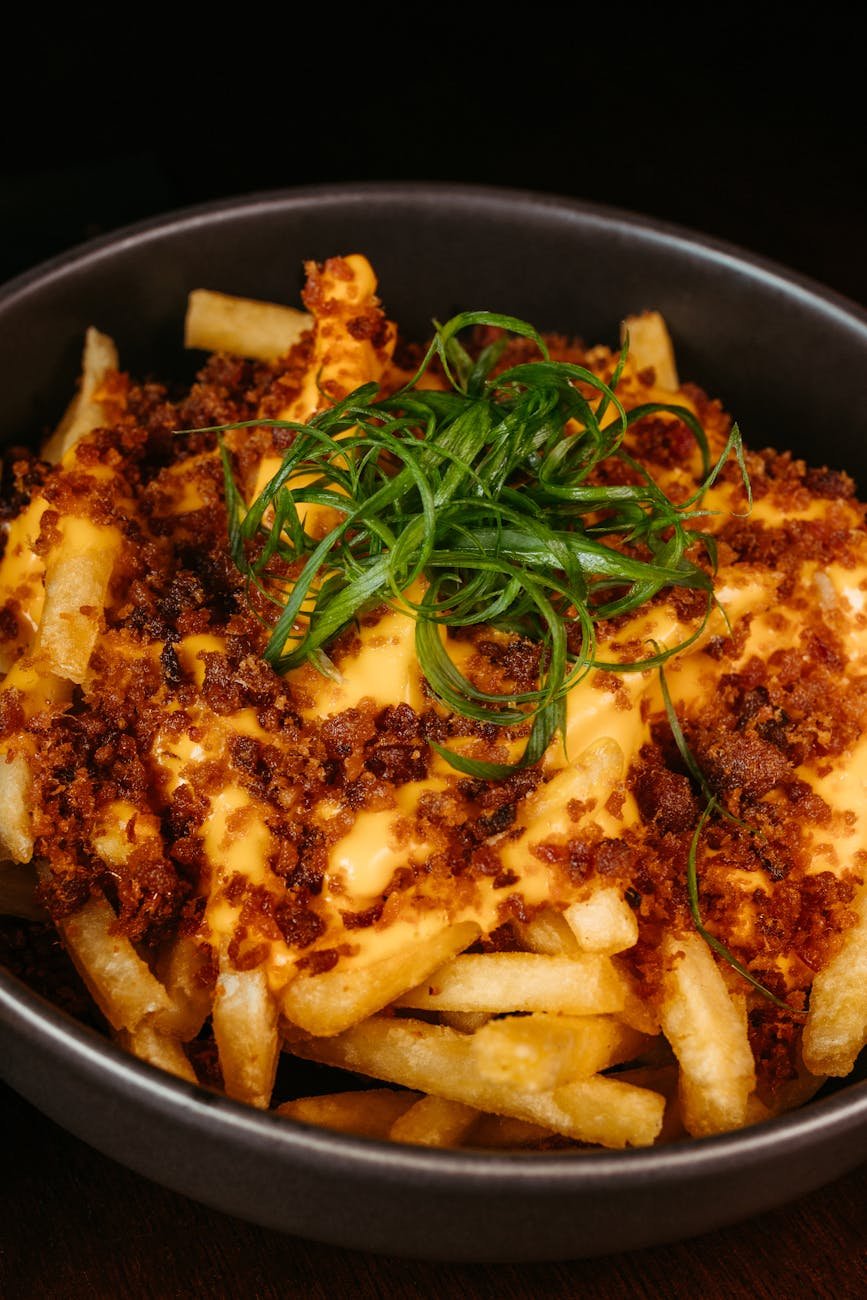 close up of a bowl of fries with melted cheese on top